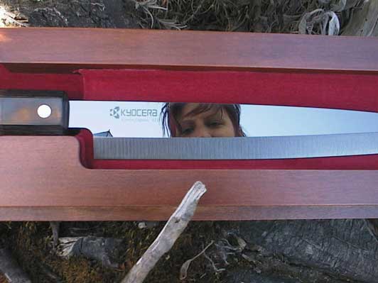 Kyocera KT-300-HIP f�r h�chste Anspr�che